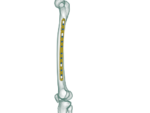 4.5mm Femur Broad Düz Plak - Görsel 2